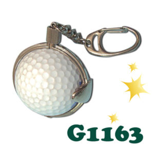 Golf ball holder